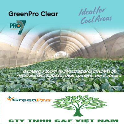 Màng Nhà Kính GreenPro Clear + 7 Lớp - 200 Mic - Giá liên hệ