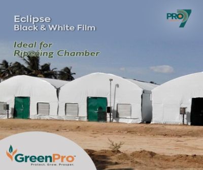 Màng GreenPro trắng đen 7 lớp - 150 Mic - 17.200 VNĐ/M2